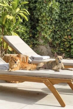 Conjunto De 2 Tumbonas De Jardín De Madera Clara ATRANI 24 Conjunto De 2 Tumbonas De Jardín De Madera Clara ATRANI -OUTSUNNY TIENDA 9490eb4b5f42fd258d0e19a45e0ae7f4a48af0ef 9c73ad47be9b4720afb7df1e195d4921