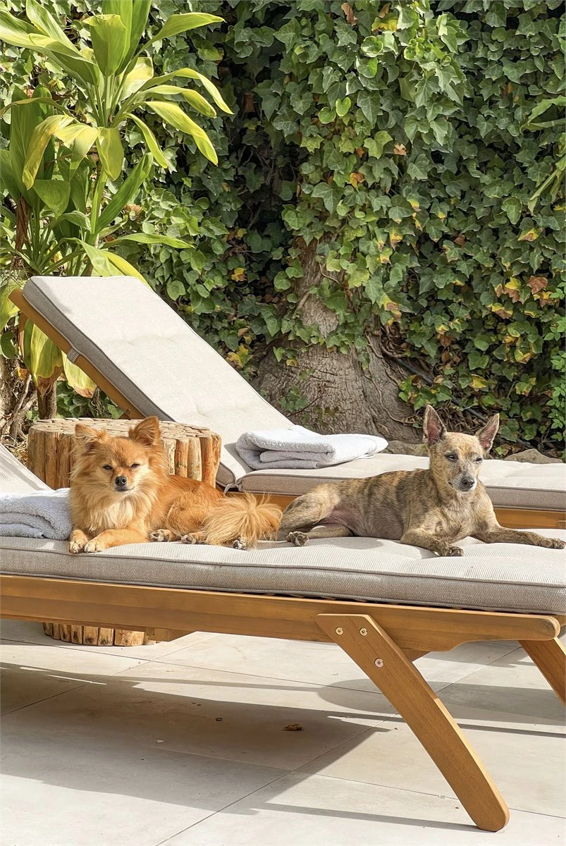 Conjunto De 2 Tumbonas De Jardín De Madera Clara ATRANI 13 Conjunto De 2 Tumbonas De Jardín De Madera Clara ATRANI - Imagen 11