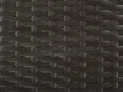 Arcón De Ratán Marrón Oscuro/negro 126 X 46 Cm MODENA 19 Arcón De Ratán Marrón Oscuro/negro 126 X 46 Cm MODENA -OUTSUNNY TIENDA 96a535cebcbd596f3483befc274cf59fee934cd3 9ce79c8fc1ee42179e7d6a062303306b